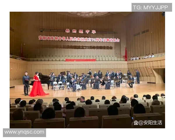 上海篮球队的辉煌历程与总决赛背后的奋斗与坚持