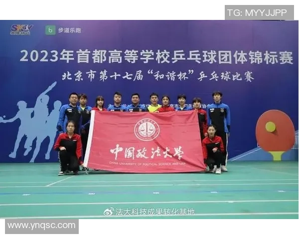 乒乓球团队协作实力大比拼杭州乒乓球队荣登第五名荣耀榜单