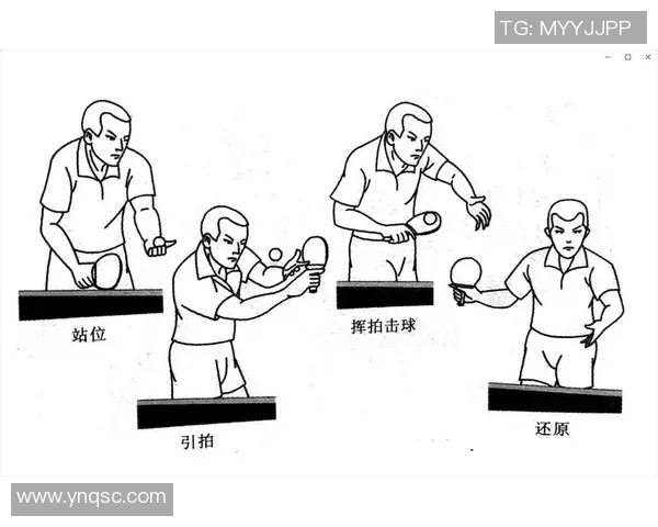 重庆乒乓球队的战术创新与转换打法深度解析