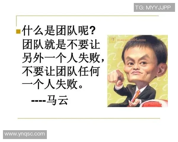 南京排球队个人能力提升之路与团队协作的完美结合