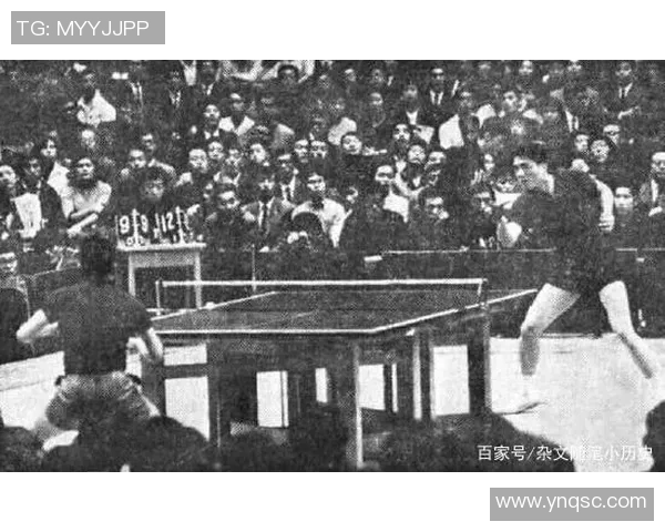 周静独家分享乒乓球技巧与心得助你提升球技的秘密秘籍 周静独家分享乒乓球技巧与心得助你提升球技的秘密秘籍