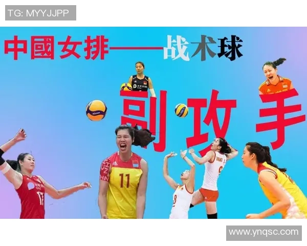 杭州排球队的战术演变与球员转换深度解析