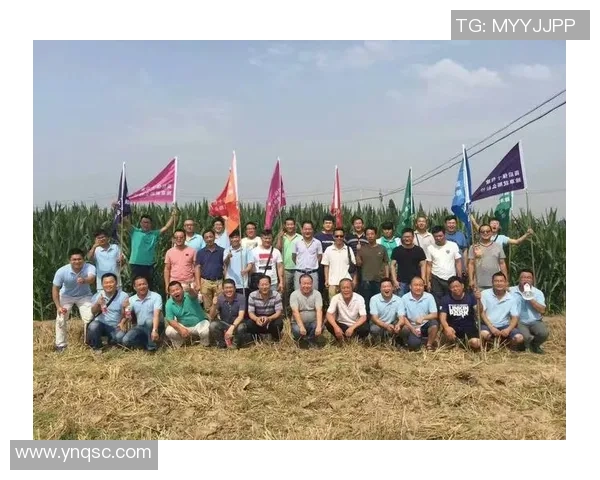 深圳篮球队重塑辉煌之路：从挑战到崛起的精彩旅程