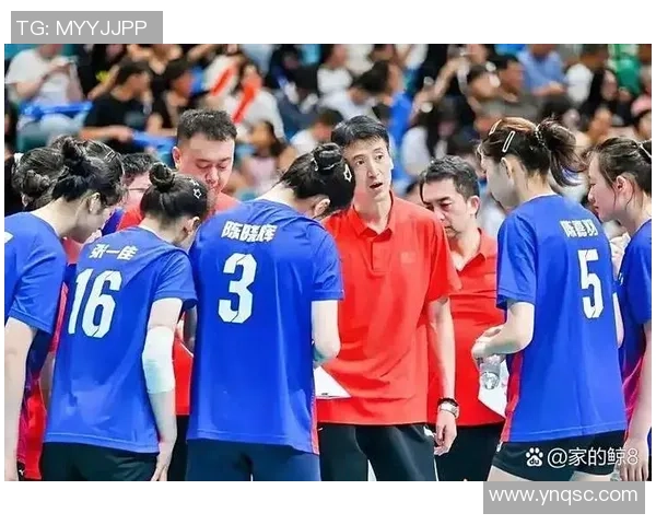 重庆排球队荣登全国排球力量排行榜首位引发热议