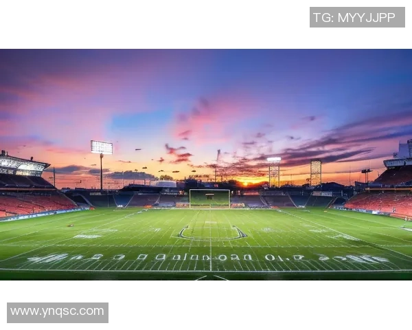 足球明星D席的精彩瞬间壁纸分享尽显球场魅力与风采 足球明星D席的精彩瞬间壁纸分享尽显球场魅力与风采