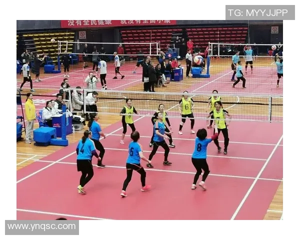 重庆排球队实力分析与发展潜力探讨聚焦排球运动的未来之路 重庆排球队实力分析与发展潜力探讨聚焦排球运动的未来之路