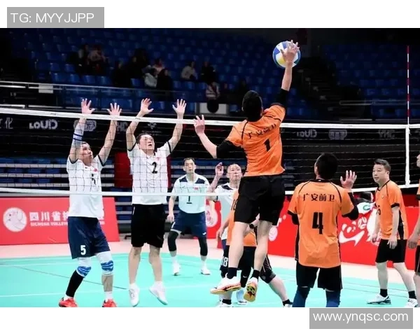 成都排球队的速度之美与技术探秘，展现排球运动的魅力与激情