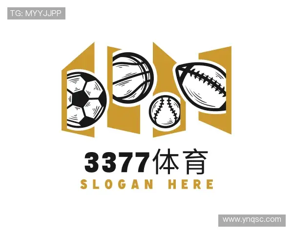 了解3377体育