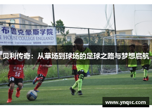 贝利传奇：从草场到球场的足球之路与梦想启航