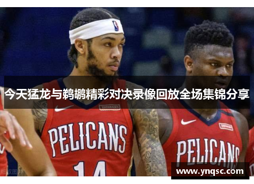 今天猛龙与鹈鹕精彩对决录像回放全场集锦分享