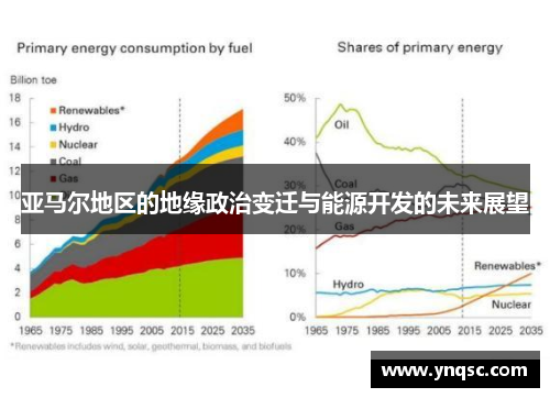 亚马尔地区的地缘政治变迁与能源开发的未来展望