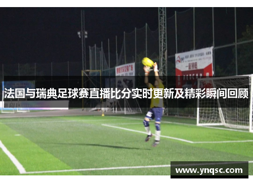 法国与瑞典足球赛直播比分实时更新及精彩瞬间回顾
